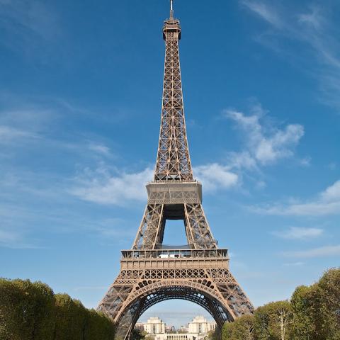 Study in France