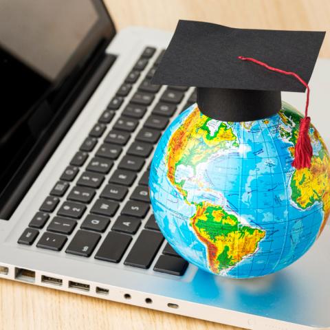 Globally Ranked Institutions