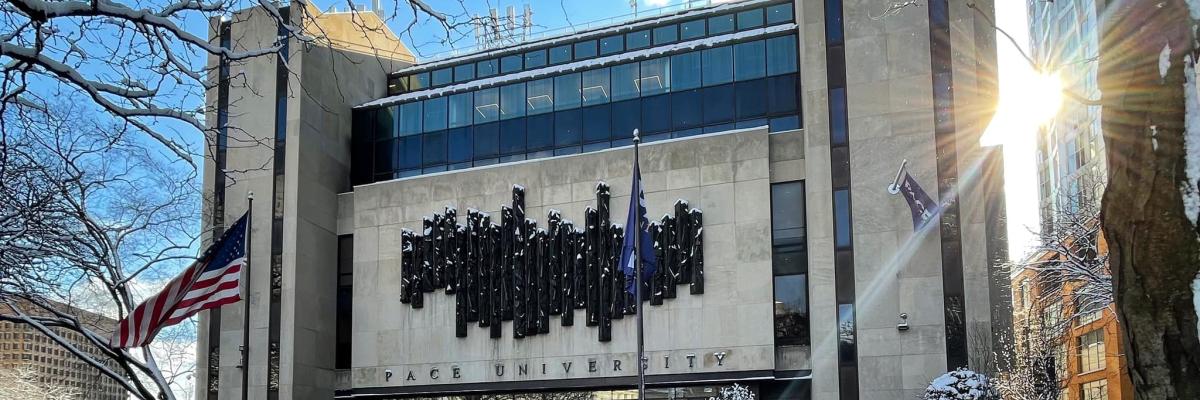 Master of Science in Financial Operations and Technology  – Pace University, USA
